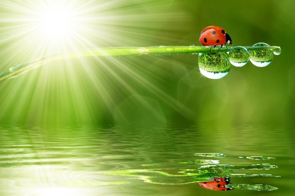 residential commercial retail landscaping