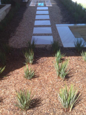 landscaped path & garden